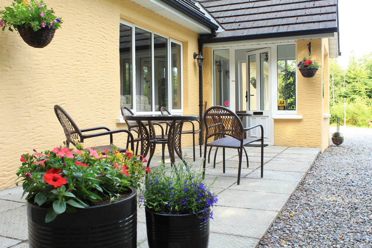 Pinewood Lodge Laragh Eksteriør bilde