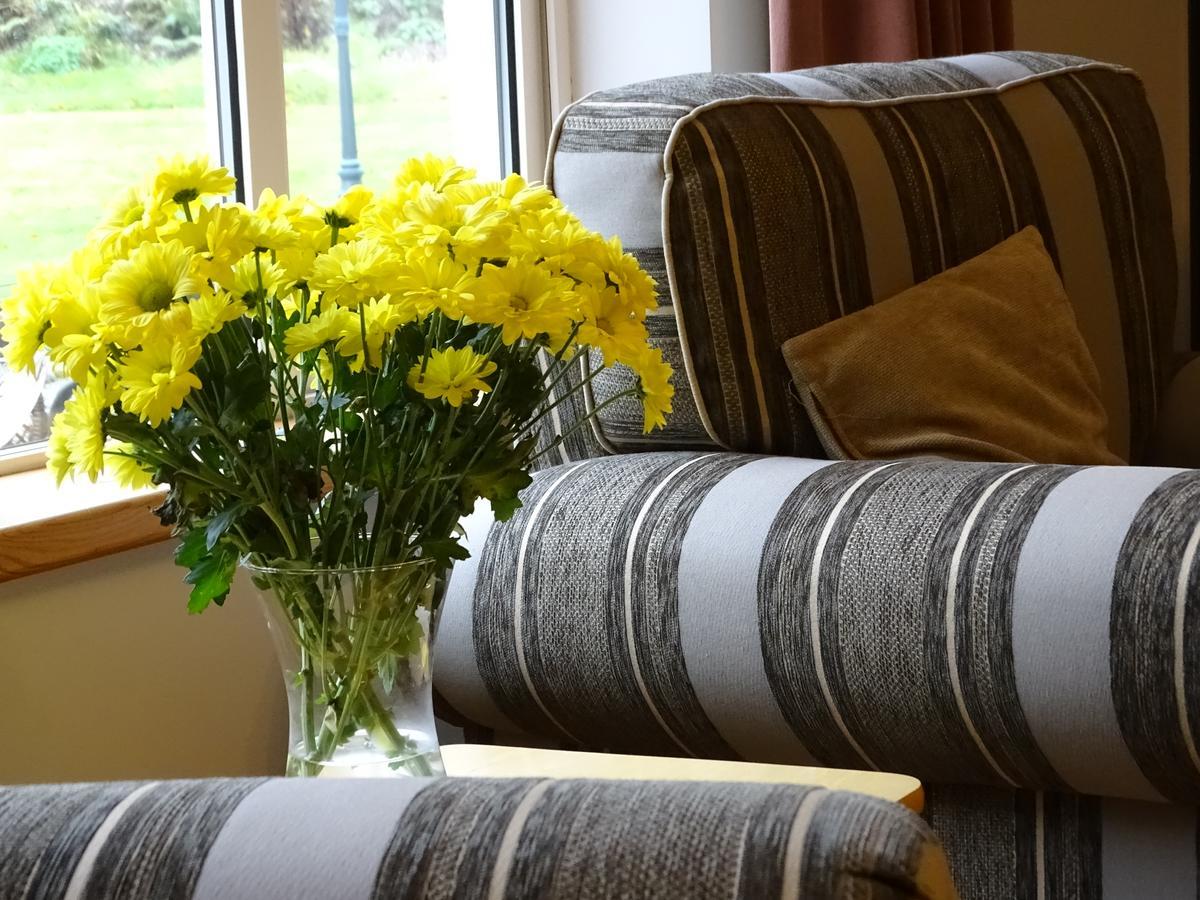 Pinewood Lodge Laragh Eksteriør bilde